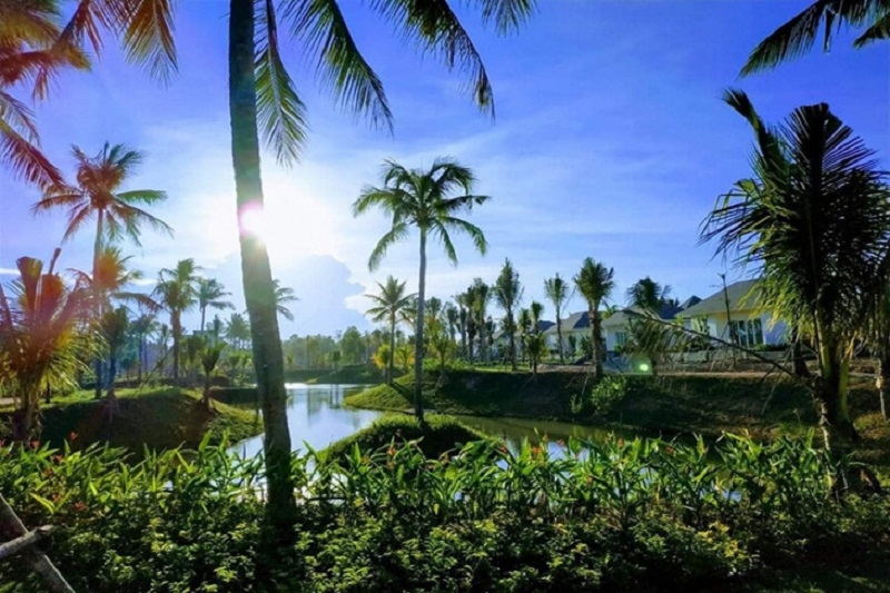 Bãi Dừa Tư Nghĩa