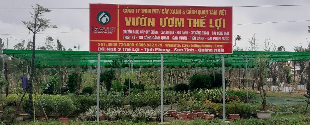 Công ty TNHH MTV Cây Xanh & Cảnh Quan Tâm Việt