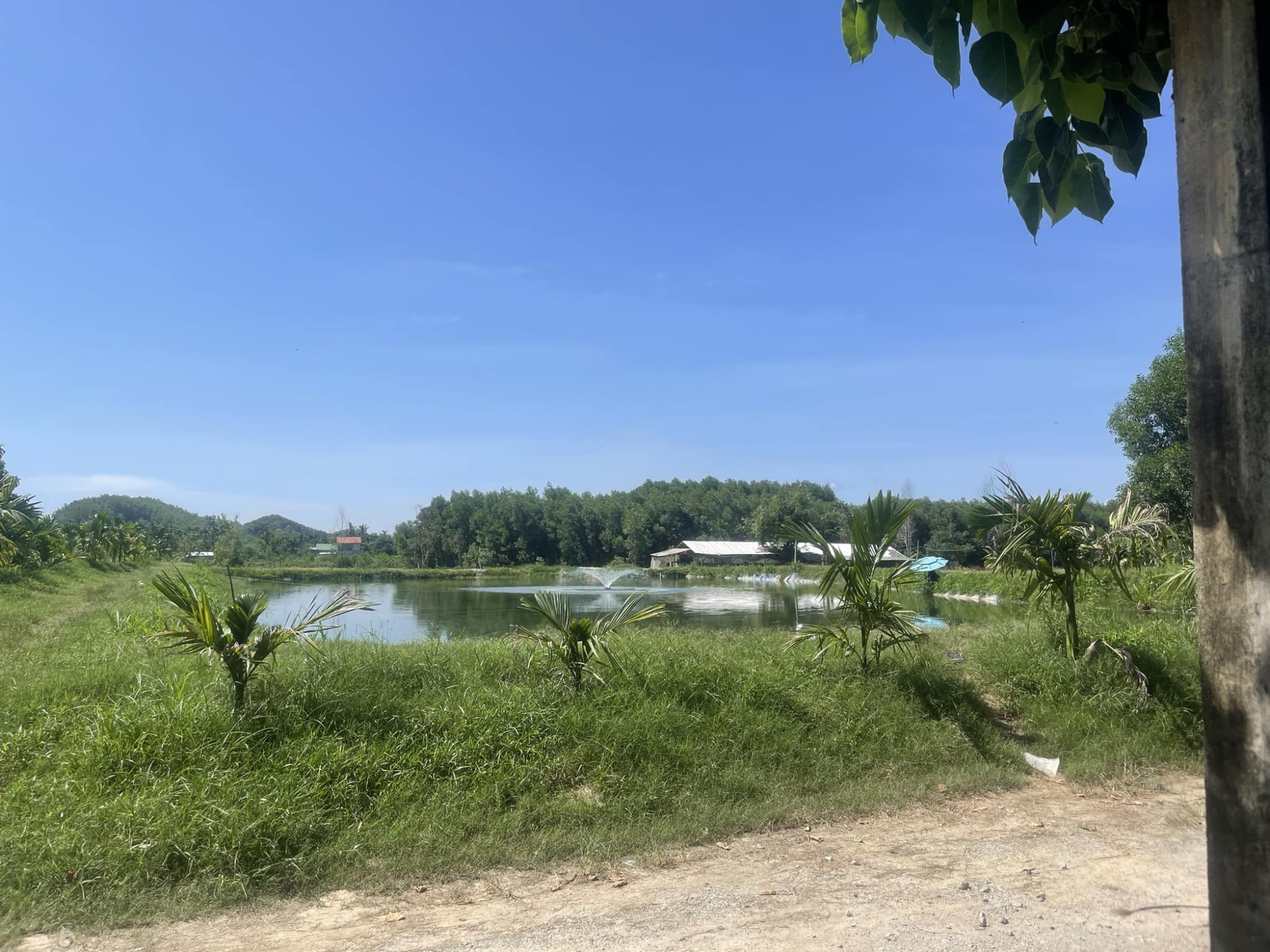 Hồ Câu Suối Cát