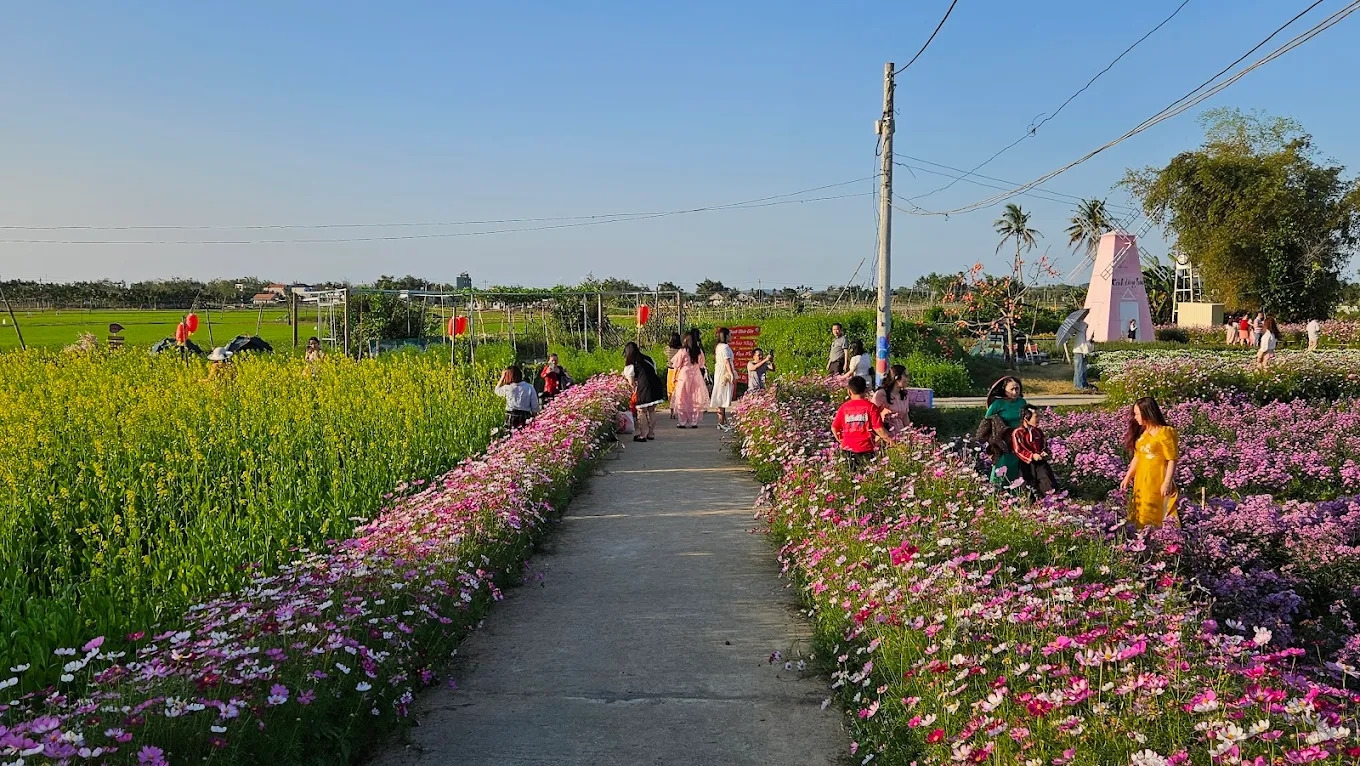 Cánh Đồng Hoa Nghĩa Hà
