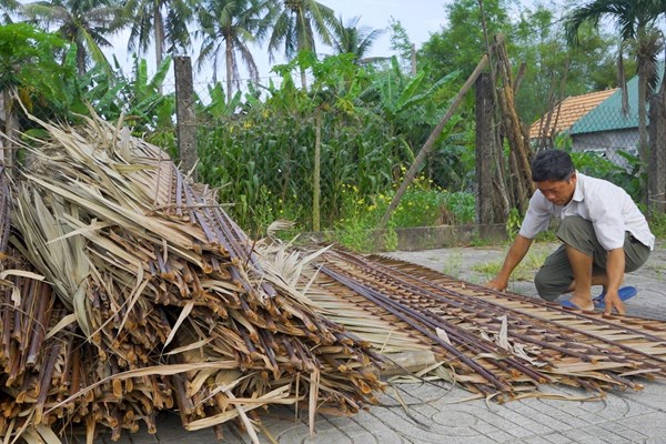 Rừng dừa nước Tịnh Khê trở thành điểm đến du lịch hấp dẫn - Ảnh 3