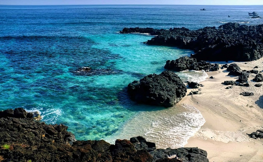 Đến biển Mỹ Khê Quảng Ngãi ngắm nhìn vẻ đẹp hoang sơ quyến rũ 9