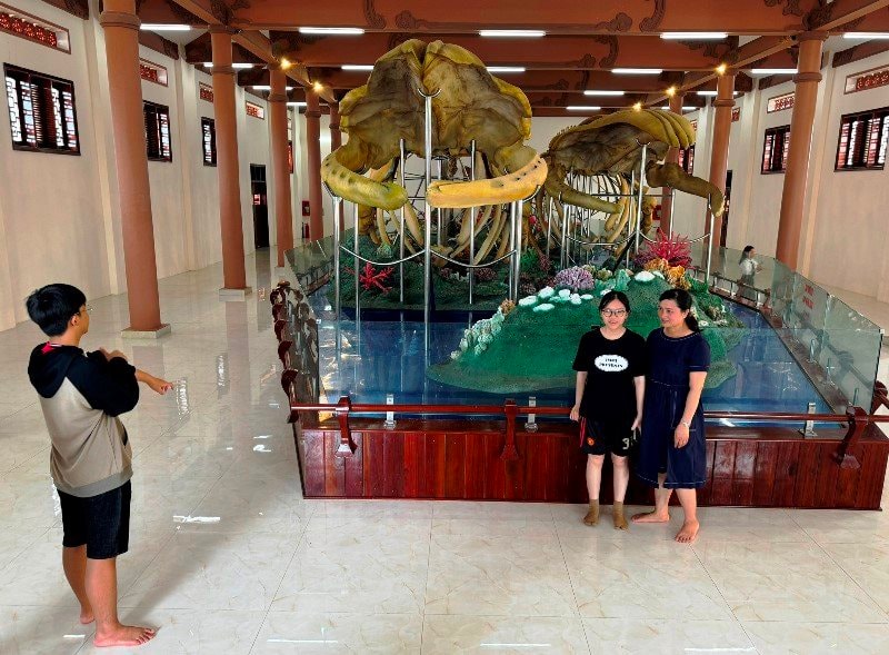 nhà trưng bày bộ xương cá ông 3