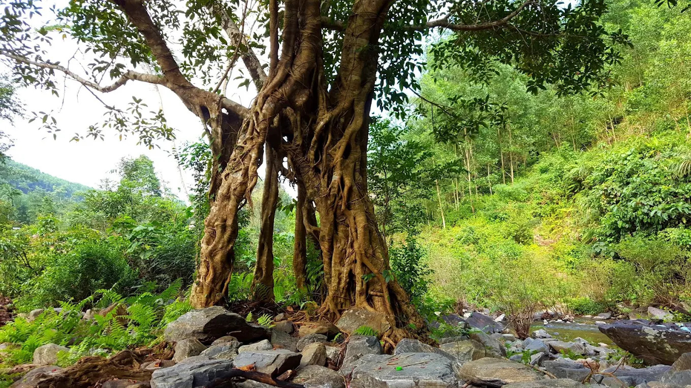 Khung cảnh Thác Cao Muôn 3